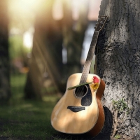 whatsapp guitar dp
