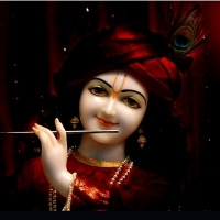 whatsapp krishna dp