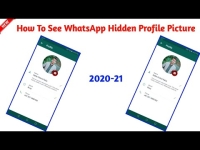 whatsapp private dp viewer