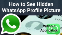 whatsapp private dp viewer