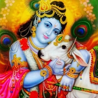 whatsapp radha krishna dp