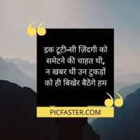 whatsapp shayari dp