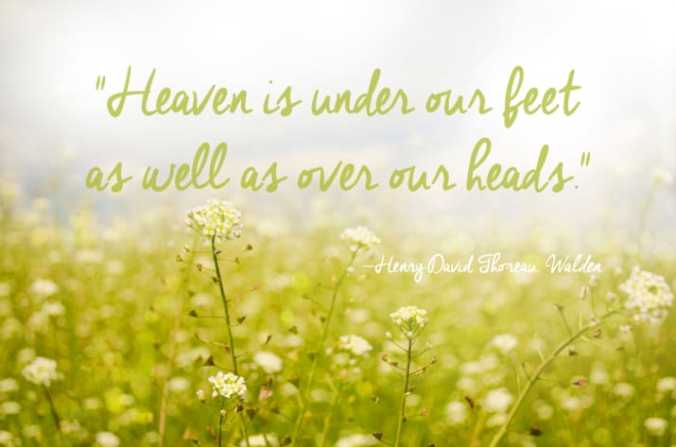Quotes On Natural Beauty