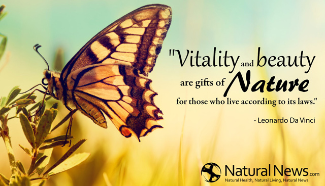 Quotes On Natural Beauty