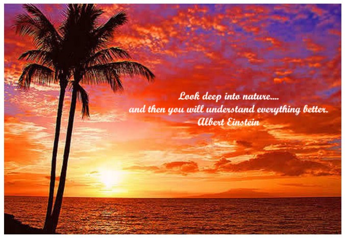 Images Of Nature With Quotes