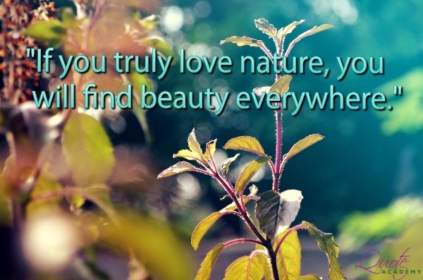 Quotes On Natural Beauty