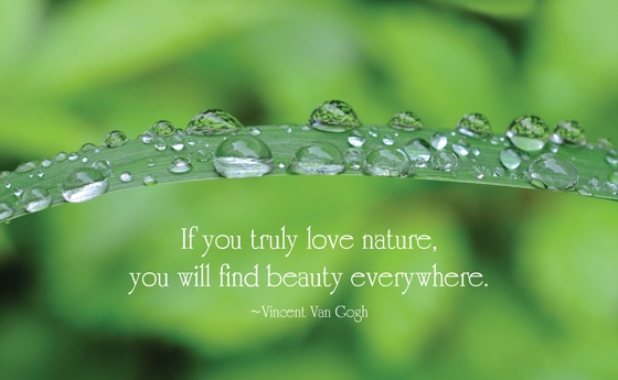 Images Of Nature With Quotes