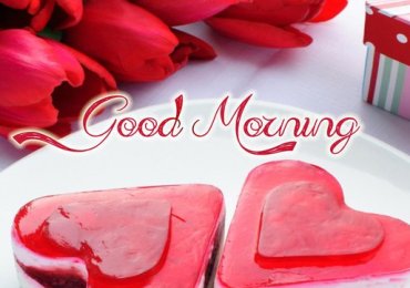 Good Morning 8