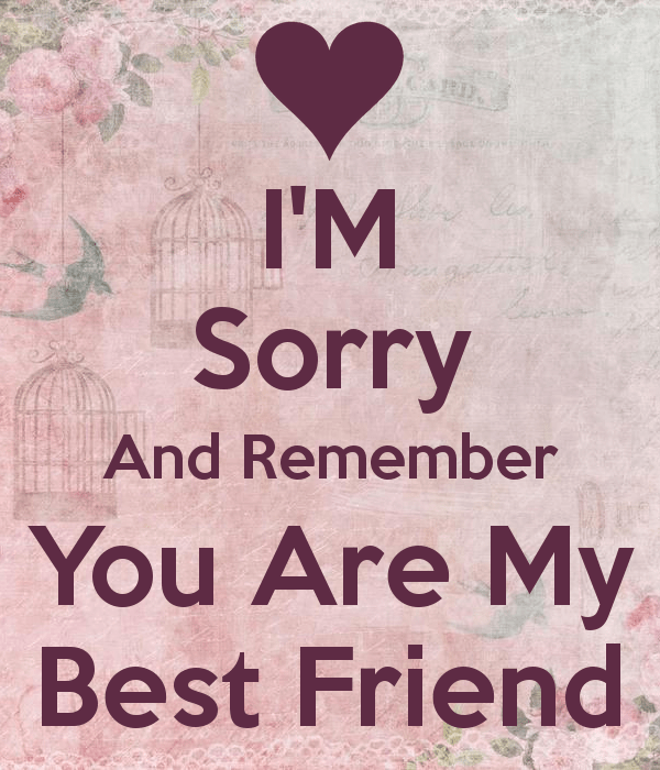 Sorry Quotes For Friend