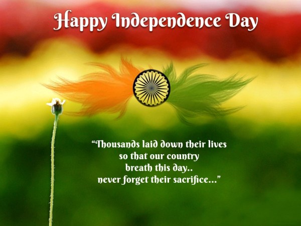 Happy Independence Day Quotes