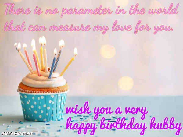 Husband Birthday Quotes