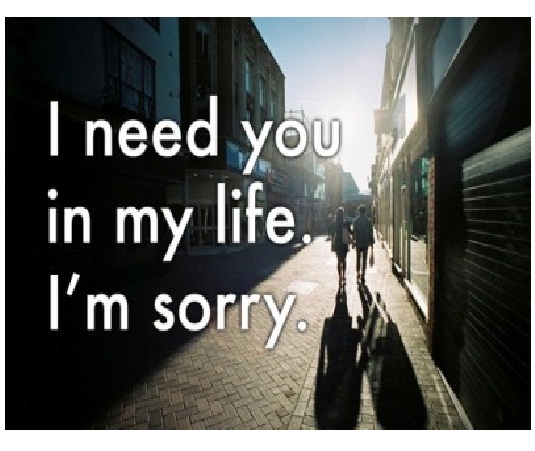 I am sorry quotes