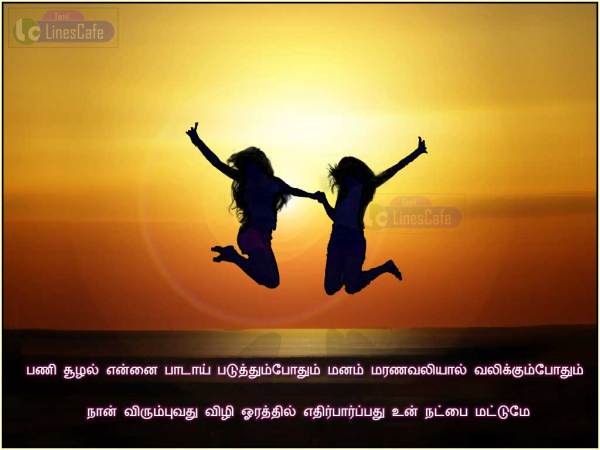 Friendship Quotes In Tamil