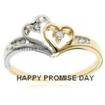 Promise Day