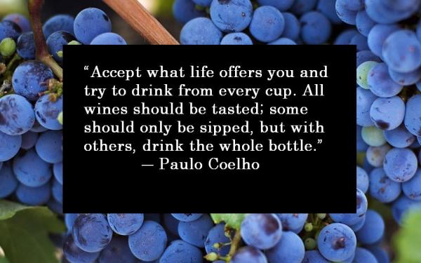 paulo coelho thoughts