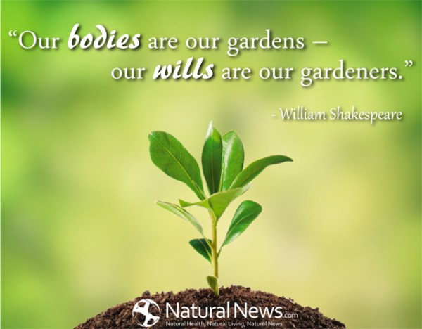 Shakespeare Quotes On Friendship