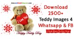 Happy Teddy Day Images