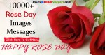 Happy Rose Day