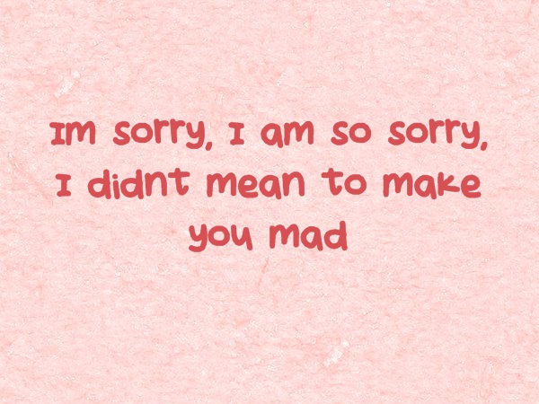 I am sorry quotes