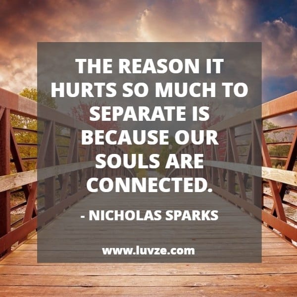 Cute Relationship Quotes