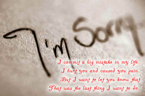 Sorry Quotes For Friend