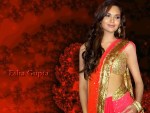 Esha Gupta HD Wallpapers