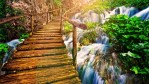 Nature Wallpaper Full Hd
