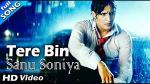 Tere Bin Sanu Soniya Lyrics