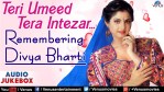 Teri Umeed Tera Intezaar Lyrics