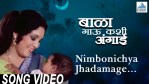 Nimbonichya Zadamage Lyrics