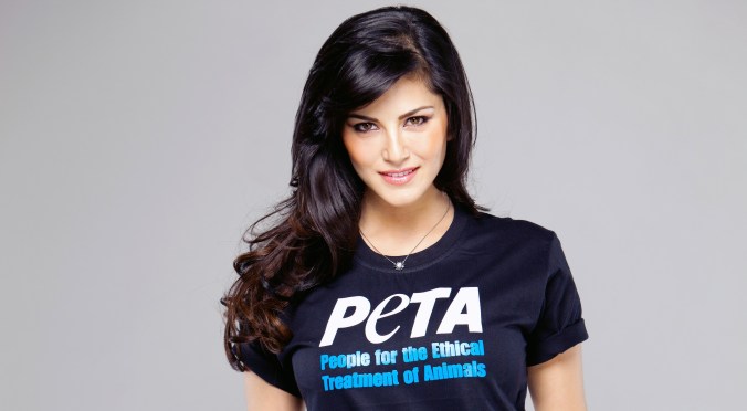 Download Latest Sunny Leone HD Wallpapers