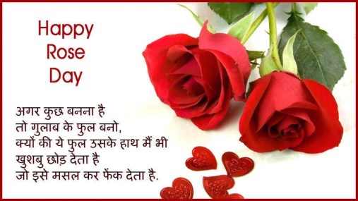 Image result for Rose Day Quotes
